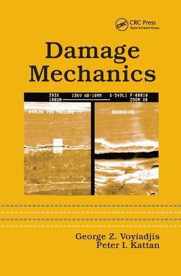 【预订】damage mechanics