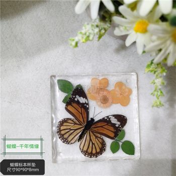 原虫人工琥珀摆件真实植物动物昆虫标本龟蟾蜍蜻蜓海星创意居家台饰