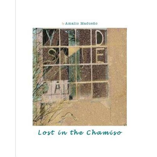 预订 lost in the chamiso [9780615132761]