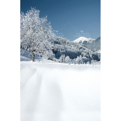 冬天雪景拍照喷绘布工作室艺术写真布室内写真雪景背景布儿童背景