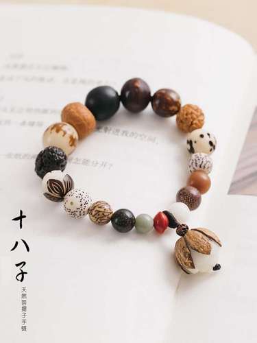 冷门文玩手串十八籽菩提十八子手持草菩提念珠手串男盘玩手持18颗