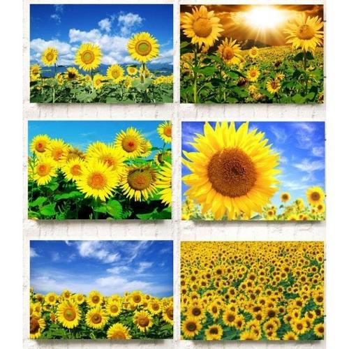 向日葵背景大海报图片向阳花太阳花纸风景花卉卧室走廊墙贴装饰画