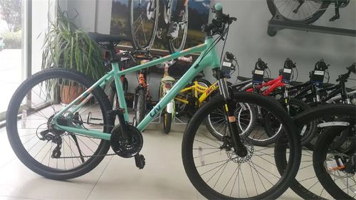 丽以芙liv捷安特咪咪meme1女性学生机械碟刹变速山地自行车26寸