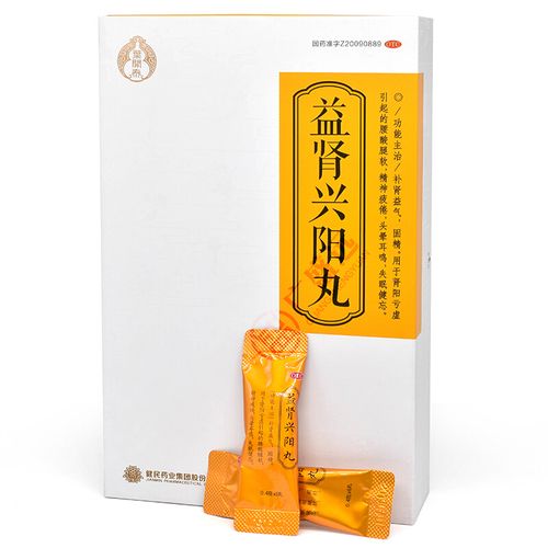 叶开泰 益肾兴阳丸20袋补肾益气用于肾阳亏虚引起的腰酸腿软疲倦