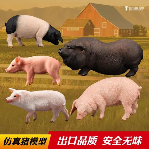 猪仿真模型野小生动猪物玩农白场猪猪野猪公母大具猪家黑儿童