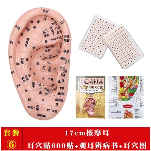 高清晰耳模型耳朵模型耳部反射区按摩模型标准耳贴穴位经络通 17cm