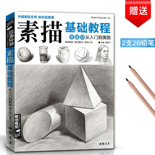 素描基础教程几何体静物书杨建飞美术画画书籍自学