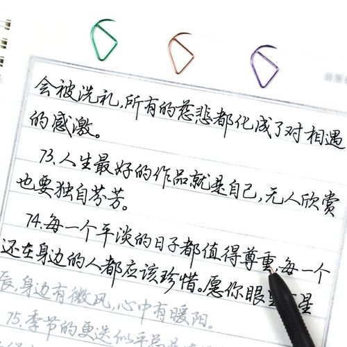 游居敬亭轩 女生字体练字帖漂亮学生行楷临摹书法练习