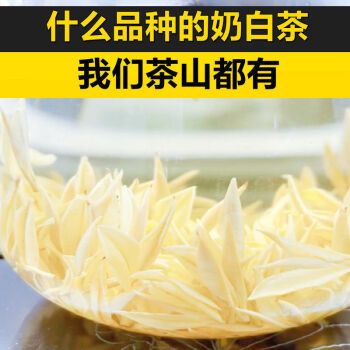 奶白茶奶白黄金芽皇金芽2022黄金奶白茶黄金叶春茶奶香味明前春茶 250