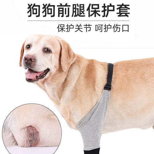 狗狗前腿关节保护套大腿肘部护膝宠物保暖伤口防舔防磨损水肿护具