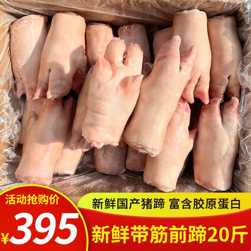 新鲜冷冻前蹄猪蹄猪爪猪卤菜酒店食堂一箱20斤江浙沪