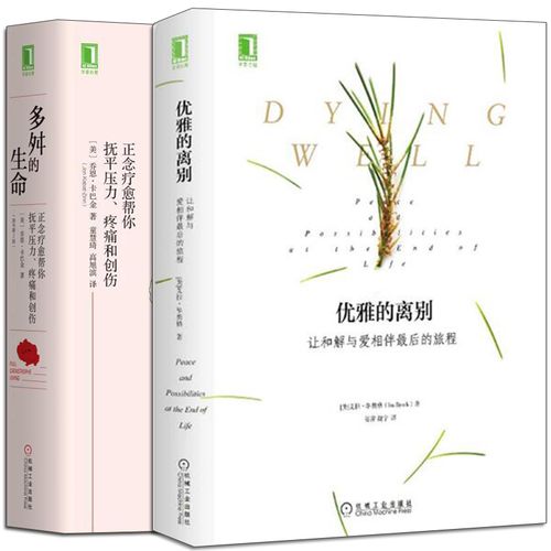 优雅的离别让和解与爱相伴zui后的旅程 多舛的生命正念疗愈帮你抚平