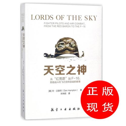 天空之神(美)丹·汉普顿(danhampton)著;邢琬叙译【新华书店,正版图书