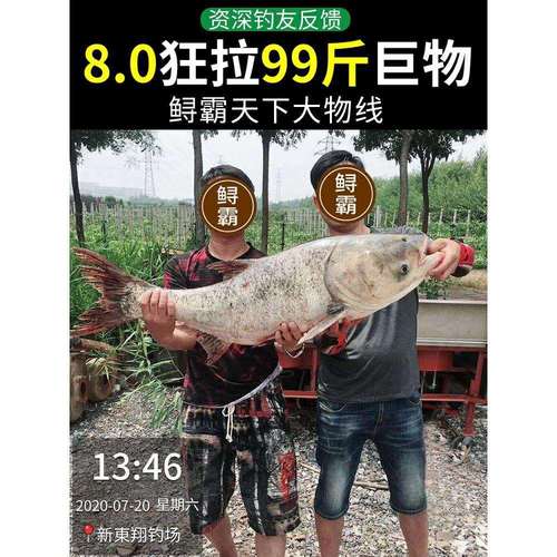 进口超柔软大物线主线子线超强拉力正品尼龙青鱼钓鱼线青鲟鱼巨物