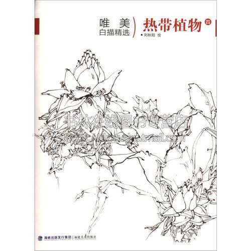唯美白描精选 热带植物 四 工笔画花卉技法白描底稿勾线稿毛笔画谱