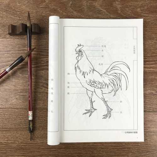 中国画线描百鸡画谱线描白描底稿技法国画工笔画花鸟翎毛画谱临摹