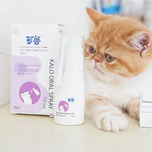 可鲁口腔喷剂猫咪口臭消炎清洁猫口炎红肿 复合溶菌酶宠物用品