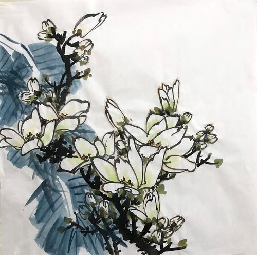水墨画玉兰花3362四尺斗方无款手绘写意花鸟画中式装饰玄关背景墙