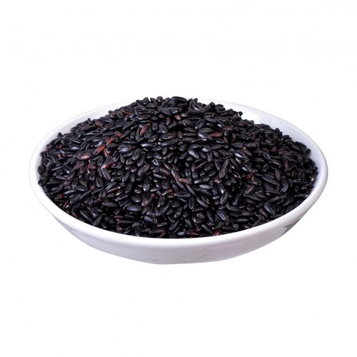 黑米新米黑香米黑龙江农家自产黑血糯米五常黑大米五谷杂粮粥500g