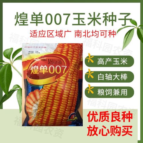 007玉米种子矮杆大棒杂交高产饲料包谷种子抗旱品种南方北方大田