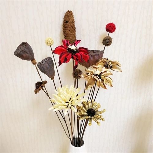 禅莲干花插花花束k客厅复干松果红色风干意花古莲蓬