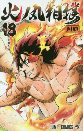现货 进口日文 火之丸相扑 火ノ丸相撲 18