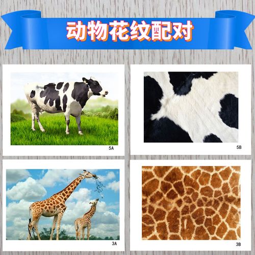 动物花纹配对早教认知卡视觉自闭症孤独症唐宝宝儿童康复学习教具