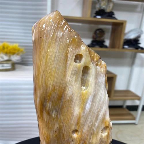 缅甸树化玉摆件树化石天然硅化玉原石木化玉奇石木化石硅化木摆件