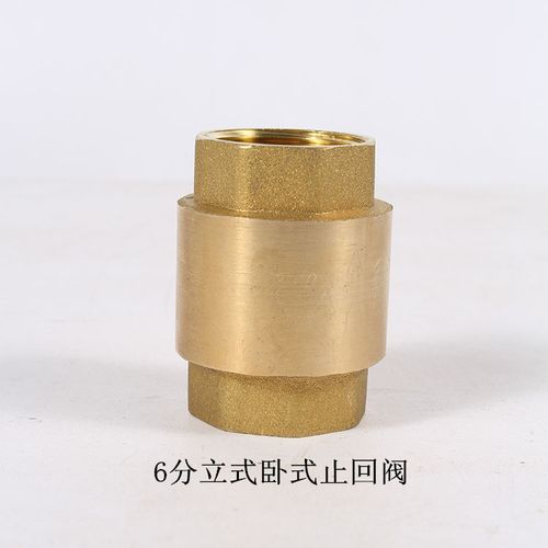 卧式止回水ppi水补气阀单向阀止逆阀水泵阀阀管r表止回底阀