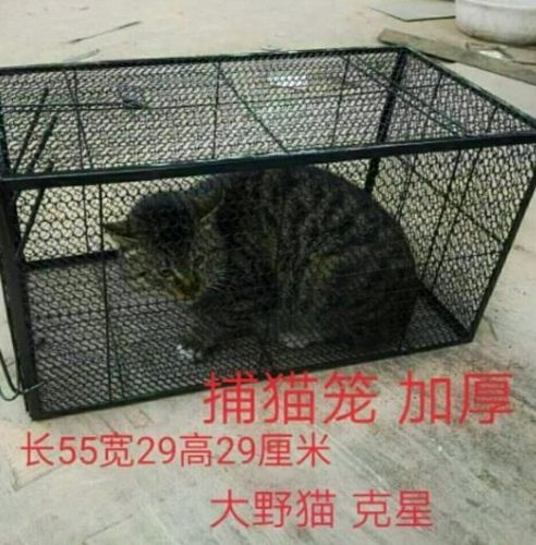 用品笼捕捉冬天笼铁笼猫救援子新型抓夹子神器猫网特大捕全自动