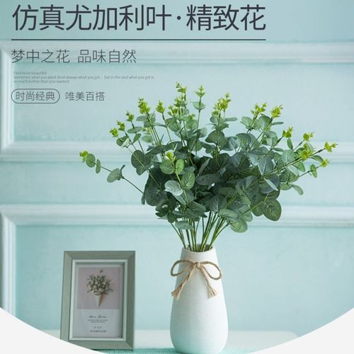 尤加利叶永生花客厅插花家居摆设小清新花束配饰ins风摄影道具