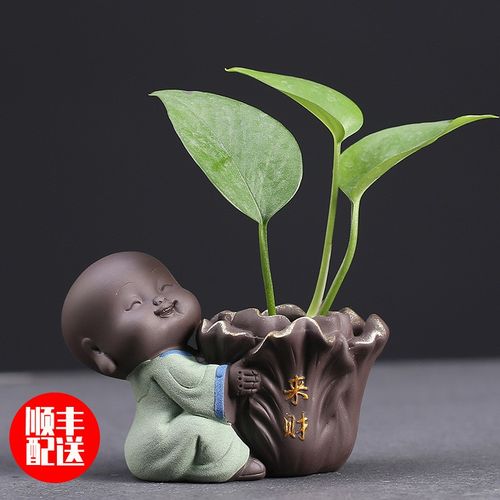 小和尚花器茶宠摆件可养紫砂茶台茶具配件花瓶书房书柜书架 八方来财
