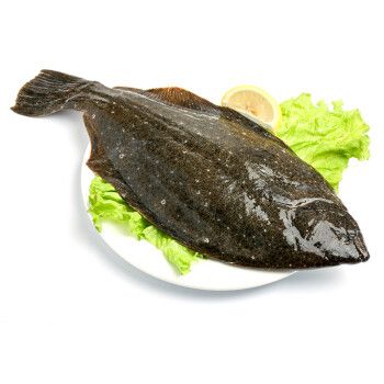 大菜園 鸦片鱼 比目鱼 多宝鱼 平鱼 鲆鱼 大牙片鱼 航空运输 1kg