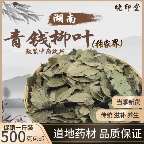 中药材青钱柳叶 张家界正品特级青钱柳原叶古树金钱柳茶500克包邮