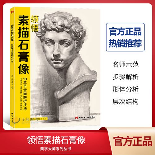 步骤画册男青老年石膏像美术素材绘画高考联考教材教程人物素描书籍