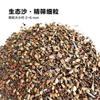 鱼缸底砂 原生缸溪流砂鱼缸底沙龟缸沙子雷龙天然造景沙石缸三湖南美