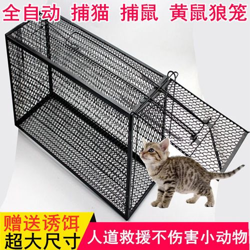 抓猫鼠笼子大号全自动捉老鼠捉猫神器家用诱捕笼清仓夹子网捉工具