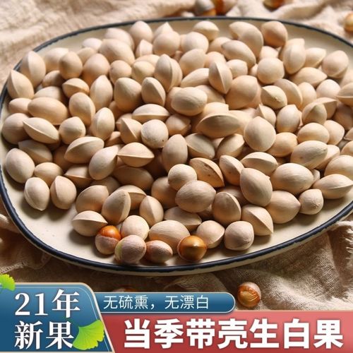 2021年新鲜白果子银杏果生百果仁无漂白带壳白果邳州特产