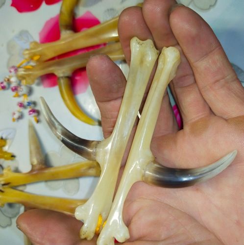 鸡拐骨文玩鸡骨把玩鸡蹬骨盘玩鸡爪工艺品手把件手工老鸡挂件