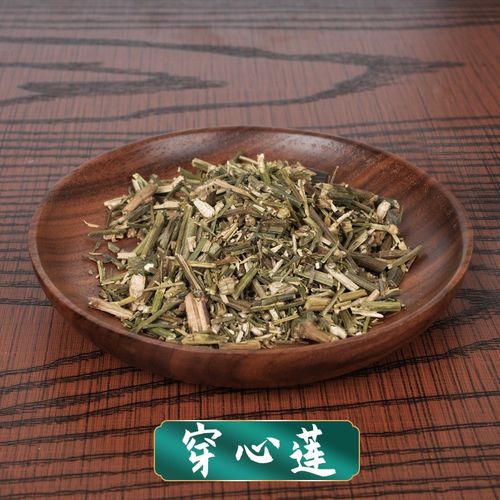 穿心莲 中药饮片中药材道地药材干净无杂无硫熏 (一见喜苦胆草印度草