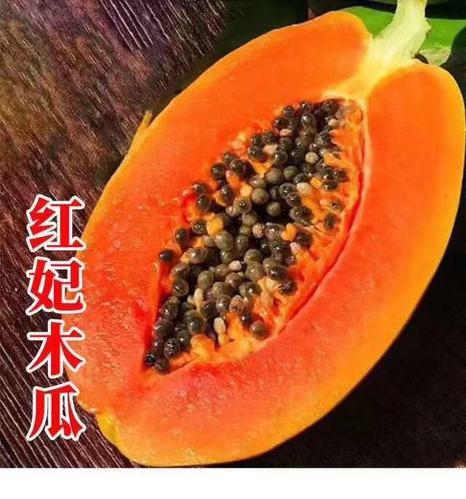 进口海南台湾农友红妃木瓜种苗土叶蔬菜水果种子籽孑苗四季