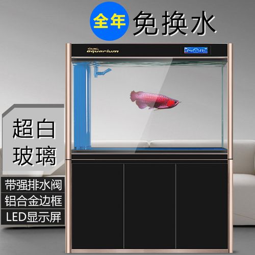 西龙鱼缸底过滤水族箱超白玻璃客厅家用生态免换水中大型金龙鱼缸