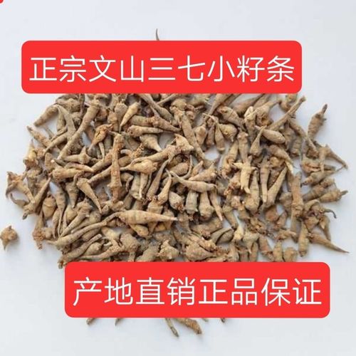 正宗云南文山水洗无数头小三七籽条三七产地直销正品保证特惠包邮