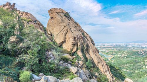 成人票(14:00-16:30) 珠山国家森林公园 景点门票