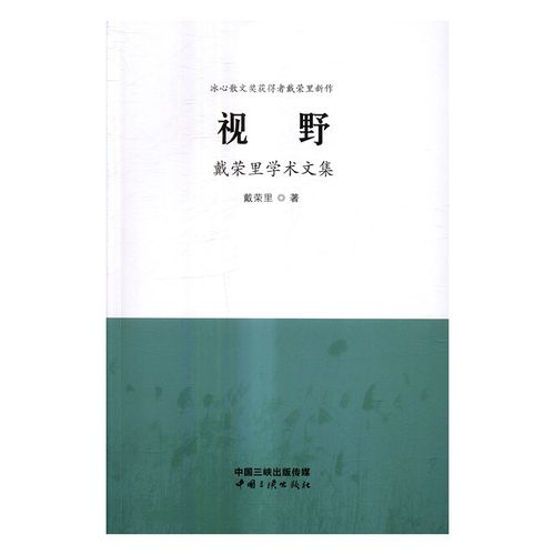 正版 视野:戴荣里学术文集 戴荣里 书店 文学理论基本问题书籍 书