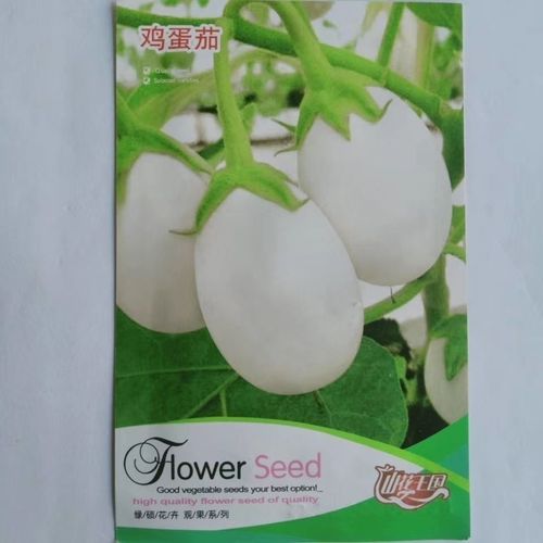 白蛋茄种籽高产白茄子种子白蛋鸡蛋茄子苗盆栽四季农家室内蔬菜籽