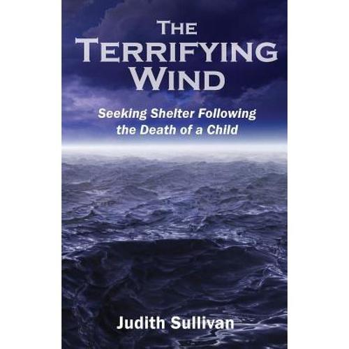 预订 the terrifying wind: seeking shelter. [9780989567237]