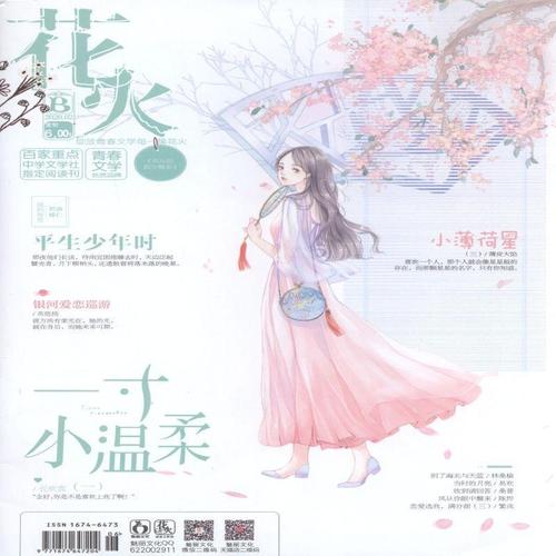 花火b 2020年 第2期   期刊杂志订阅过刊过期杂志期刊书籍