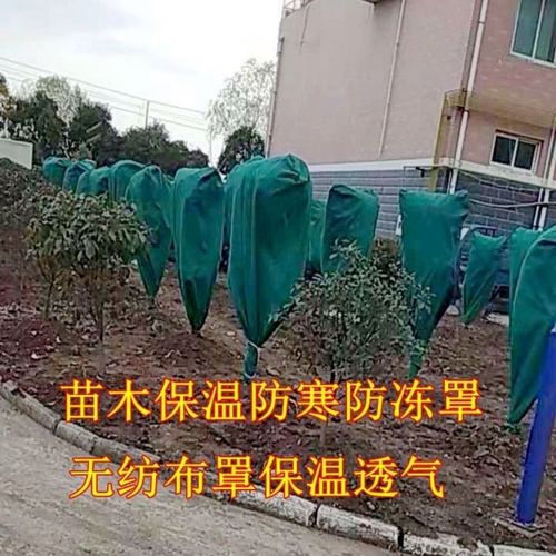 植物保暖防寒罩无纺布透气包裹树木保护园林绿化带缠树防风防冻罩