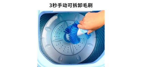 新洗鞋子专用洗衣机非全自动家用小型刷鞋机洗内衣袜子神器可脱水